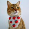 10 Crochet Pet Bandana Free Patterns