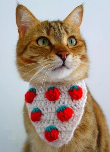 10 Crochet Pet Bandana Free Patterns