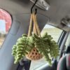 10 Crochet Unique Car Plant Hanger Free Patterns