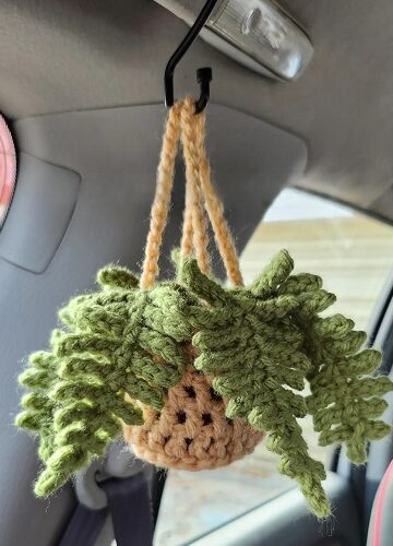 10 Crochet Unique Car Plant Hanger Free Patterns
