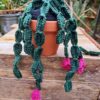 11 Crochet Flowering Succulents Free Patterns