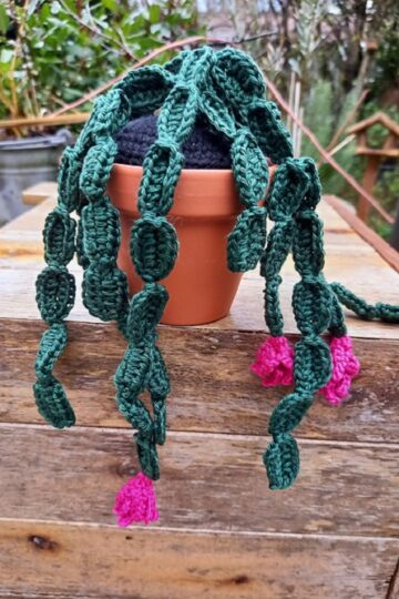 11 Crochet Flowering Succulents Free Patterns