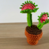 13 Free Crochet Houseplant Patterns