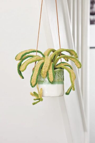 7 Crochet Spider Plant Free Patterns
