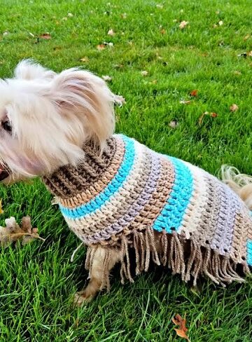 5 Crochet Dog Poncho Free Patterns